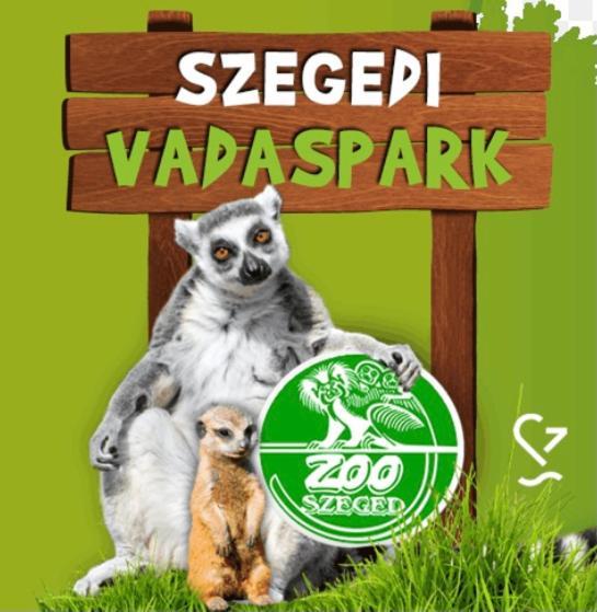 Apartament Dom Square-Centrum-Free Parking Segedyn Zewnętrze zdjęcie