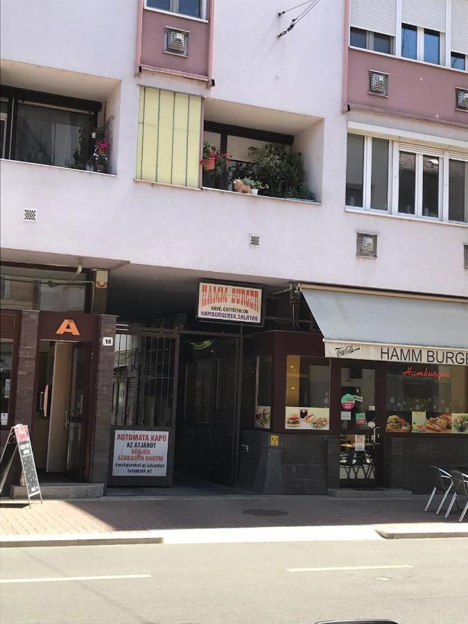 Apartament Dom Square-Centrum-Free Parking Segedyn Zewnętrze zdjęcie