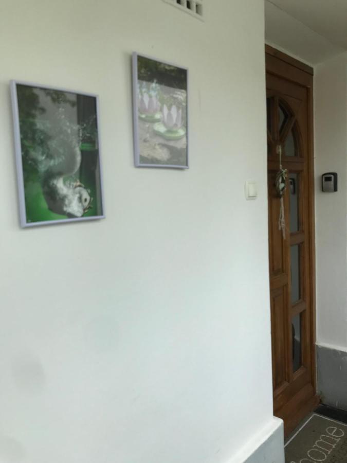Apartament Dom Square-Centrum-Free Parking Segedyn Zewnętrze zdjęcie